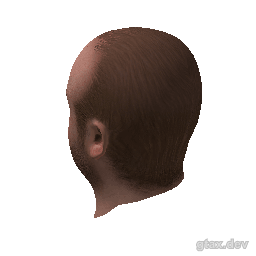 head_000_r inspection render
