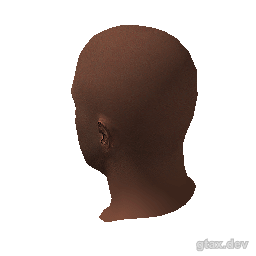 head_019_r inspection render