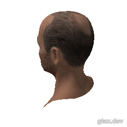 head_000_r inspection render