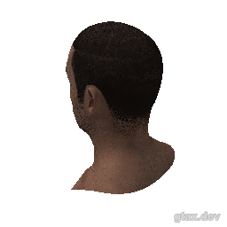 head_000_r_3 inspection render