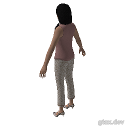 csb_georginacheng inspection render