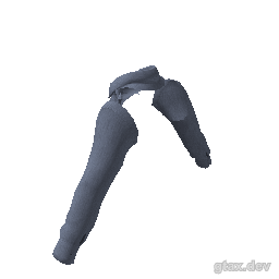accs_000_u inspection render