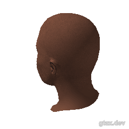 head_030_r inspection render