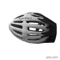 p_head_011 inspection render