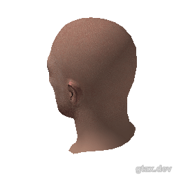 head_043_r inspection render