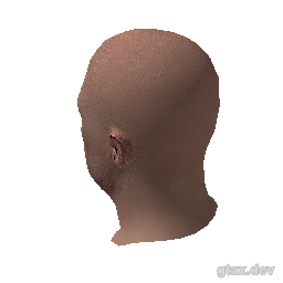 head_013_r_2 inspection render