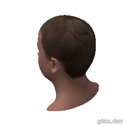 head_000_r inspection render