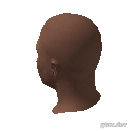 head_004_r inspection render