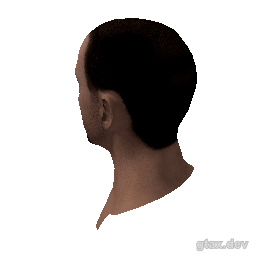 head_000_r inspection render