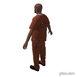 csb_rashcosvki inspection render