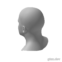 head_000_r_6 inspection render