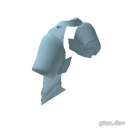 accs_000_u inspection render