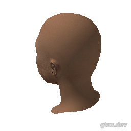 head_028_r_2 inspection render