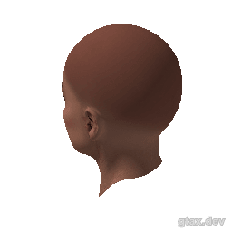head_000_r inspection render