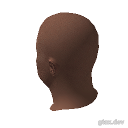 head_016_r inspection render