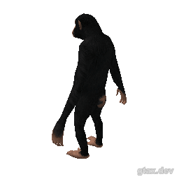 a_c_chimp_02 inspection render