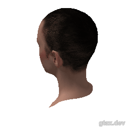 head_000_r_2 inspection render
