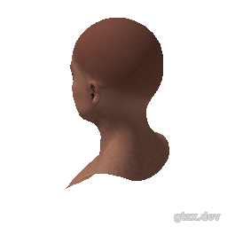 head_000_r_1 inspection render