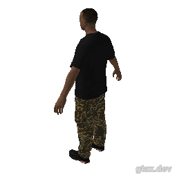 ig_mjo inspection render