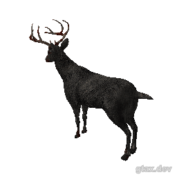a_c_deer_02 inspection render