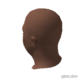 head_005_r inspection render