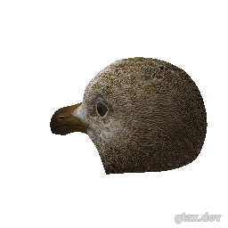 berd_001_u inspection render