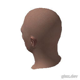 head_042_r inspection render