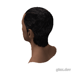 head_000_r inspection render
