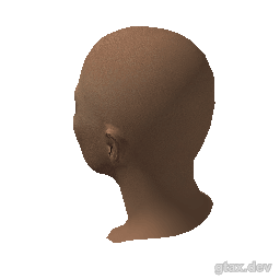 head_039_r inspection render