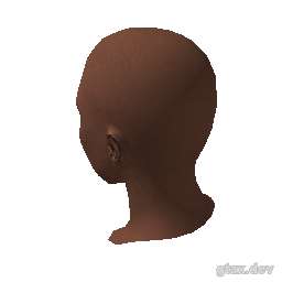 head_029_r inspection render