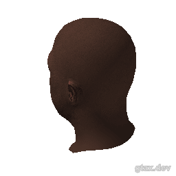 head_003_r inspection render