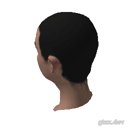 head_000_r inspection render