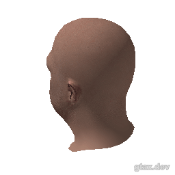 head_001_r_4 inspection render