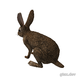 a_c_rabbit_02 inspection render