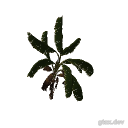 h4_prop_tree_banana_med_01 inspection render