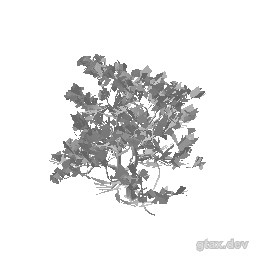 h4_prop_tree_blk_mgrv_med_01 inspection render